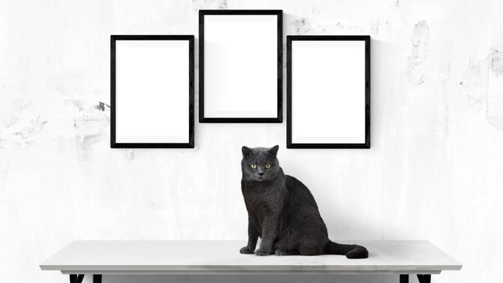Cuadros personalizados con fotos gratis – descarga tu PDF con ideas y consejos para crear diseños únicos